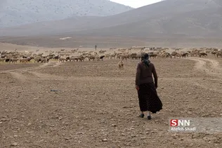 واکسن ذام