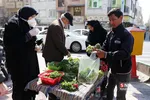 قطع