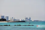 صثفصل