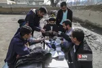 گروه جهادی