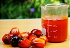 واردات روغن پالم به یک شرط از عوارض گمرکی معاف شد + سند