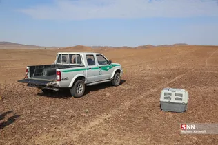 رهاسازی پرندگان شکاری در قم