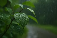 باران و برف در اغلب مناطق کشور/ کاهش دما در نوار شمالی