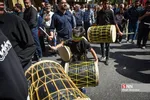 تشییع ۲ شهید حادثه تروریستی حرم شاهچراغ(ع)
پیکر مطهر شهدای حادثه تروریستی حرم شاهچراغ (ع) ساعت ۹ صبح چهارشنبه ۲۵ مرداد۱۴۰۲ از میدان شهدا تا حرم مطهر احمد بن موسی شاهچراغ (ع) شیراز تشییع شد.