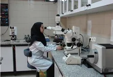 دانشجویان از ابتدای ورود به دانشگاه تحقیق را شروع کنند
