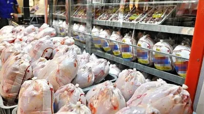 مرغ ۹۷ درصد بازار پروتئین را در دست دارد