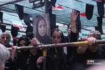 دبب