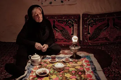 آغاز صداگذاری &laquo;پروانه&zwnj;ها فقط یک روز زندگی می&zwnj;کنند&raquo;