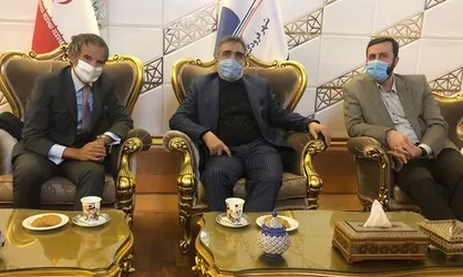 گروسی مدیرکل آژانس بین المللی انرژی اتمی وارد تهران شد