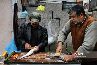 ماهی فروشان