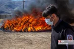 امحاء ۱۸ تن مواد مخدر در شیراز