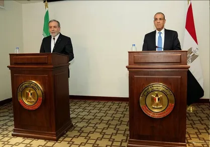 عراقچی: خواستار آتش&zwnj;بس فوری و پایدار در غزه هستیم + فیلم