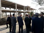 سیبز