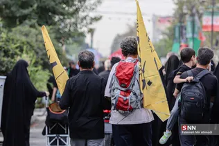 جاماندگان