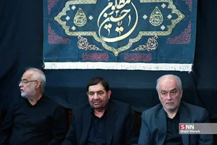 دبب