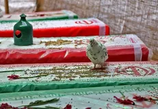 مراسم گرامیداشت سوم خرداد و روز قدس در دانشگاه آزاد اردبیل برگزار می‌شود