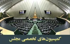 بررسی قاچاق گوشی‌های لوکس و مشکلات پرستاران در دستور کار کمیسیون‌های تخصصی مجلس