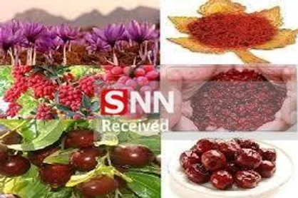 صادرات ۱۷ میلیون دلاری ۲۱ تعاونی صادراتی خراسان جنوبی