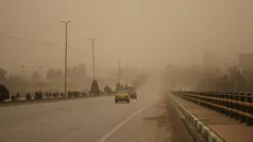 هشدار نارنجی هواشناسی برای استان بوشهر صادر شد