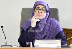 مهاجرانی: مردمی‌سازی بودجه از راه شفافیت