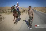 اسب