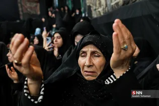 دبب