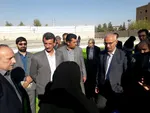 سیبز