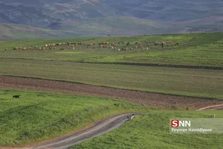 جلوه های زیبای طبیعت