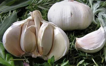 با این سبزیجات از سرطان روده جلوگیری کنید