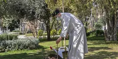 رئیسی: حفظ محیط زیست باید بیش از پیش مورد توجه قرار بگیرد