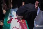 دبب