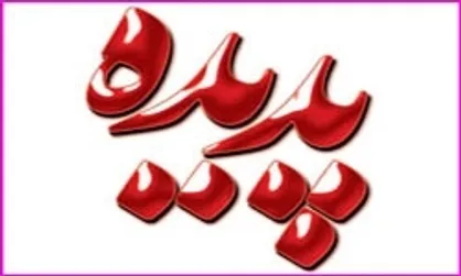 ۸ نفر در پرونده پدیده شاندیز بازداشت هستند/ تبدیل اموال به وجه نقد زمان بر است
