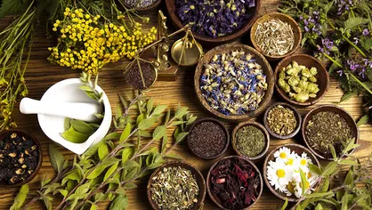 عصاره&zwnj;های گیاهی برای درمان بیماری دیابت نوع ۲ معرفی شدند