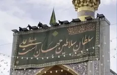 سلطانِ سلاطین جهان است علی (ع)