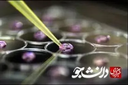 نرم افزار شبکه سلول&zwnj;های بنیادی رونمایی شد