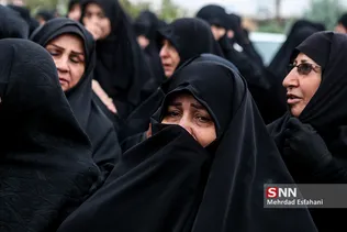داوود