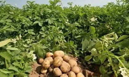 ششمین گردهمایی مدیران زراعی در وزارت جهاد کشاورزی آغاز شد
