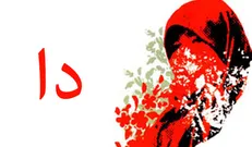 تقدیم «چهارپاره» شاعران عاشورایی به نویسنده رمان «دا»