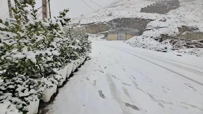 هشدار بارش برف و باران در نیمه غربی