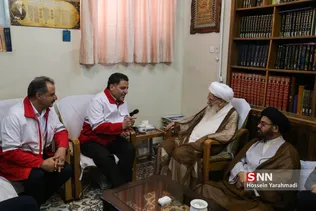 دیدار  مدیرعامل جمعیت هلال احمر کشور باآیت‌الله صافی گلپایگانی مرجع تقلید شیعیان