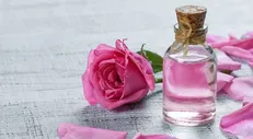 جلوگیری از چروک پوست با گلاب