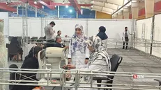 اردوی جهادی سلامت در قشم؛ سه روز همدلی و خدمت در جزیره وحدت