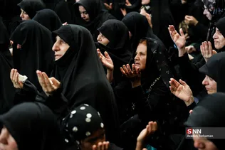 دبب