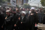 وحید1