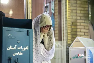 دبب