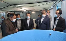 رئیس کمیته تخصصی حمل و نقل دریایی مجمع تشخیص مصلحت نظام از دانشگاه خلیج فارس بازدید کرد