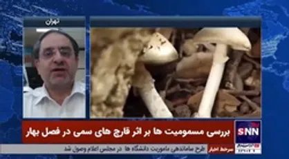 معاون آموزش اورژانس کشور: اختلال شخصیت، خودآزاری و دیگرآزاری علایم مصرف قارچ&zwnj;های مجیک مشروم هستند