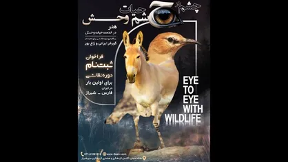 رویداد &laquo;چشم در چشم حیات&zwnj;وحش&raquo; برگزار می&zwnj;شود/ خلق آثار با الهام از مشاهدات میدانی در قلب زیستگاه&zwnj;ها