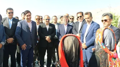 پایداری شبکه برق داراب و زرین&zwnj;دشت در دستور کار وزارت نیرو / زمین&zwnj;های مناسب برای احداث نیروگاه&zwnj;های خورشیدی واگذار می&zwnj;شود