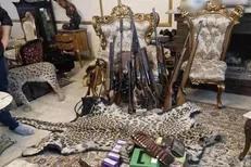 کشف محموله بزرگ حیوانات تاکسیدرمی و سلاح در تهران